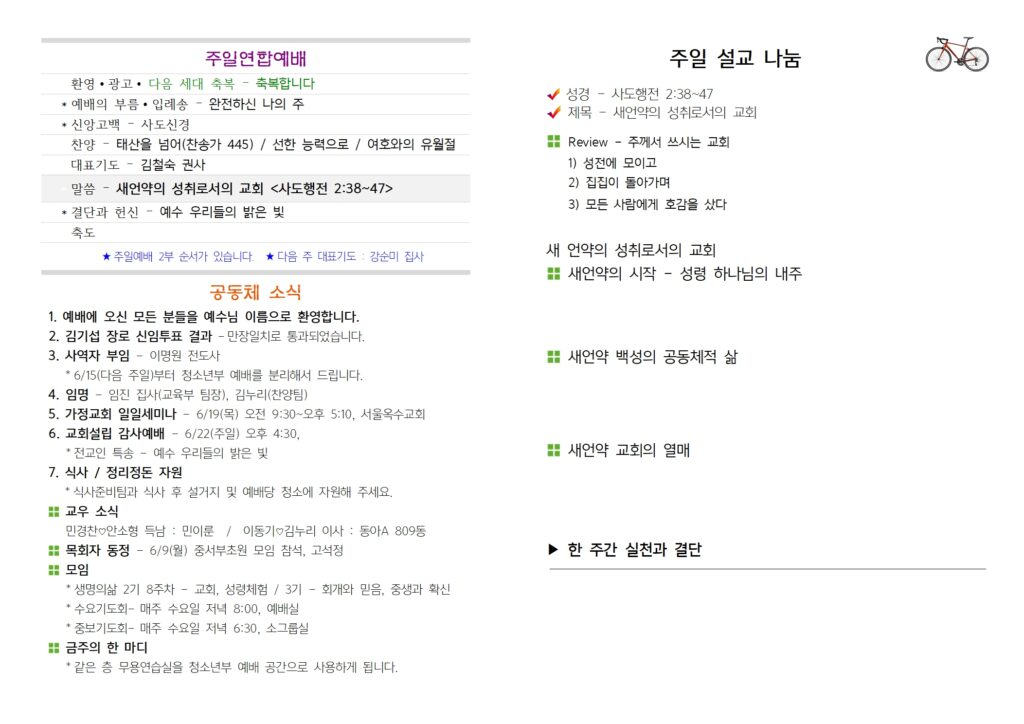 2025년6월8일-주보-2